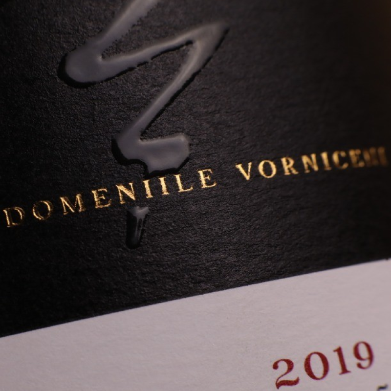Domeniile Vorniceni Winery