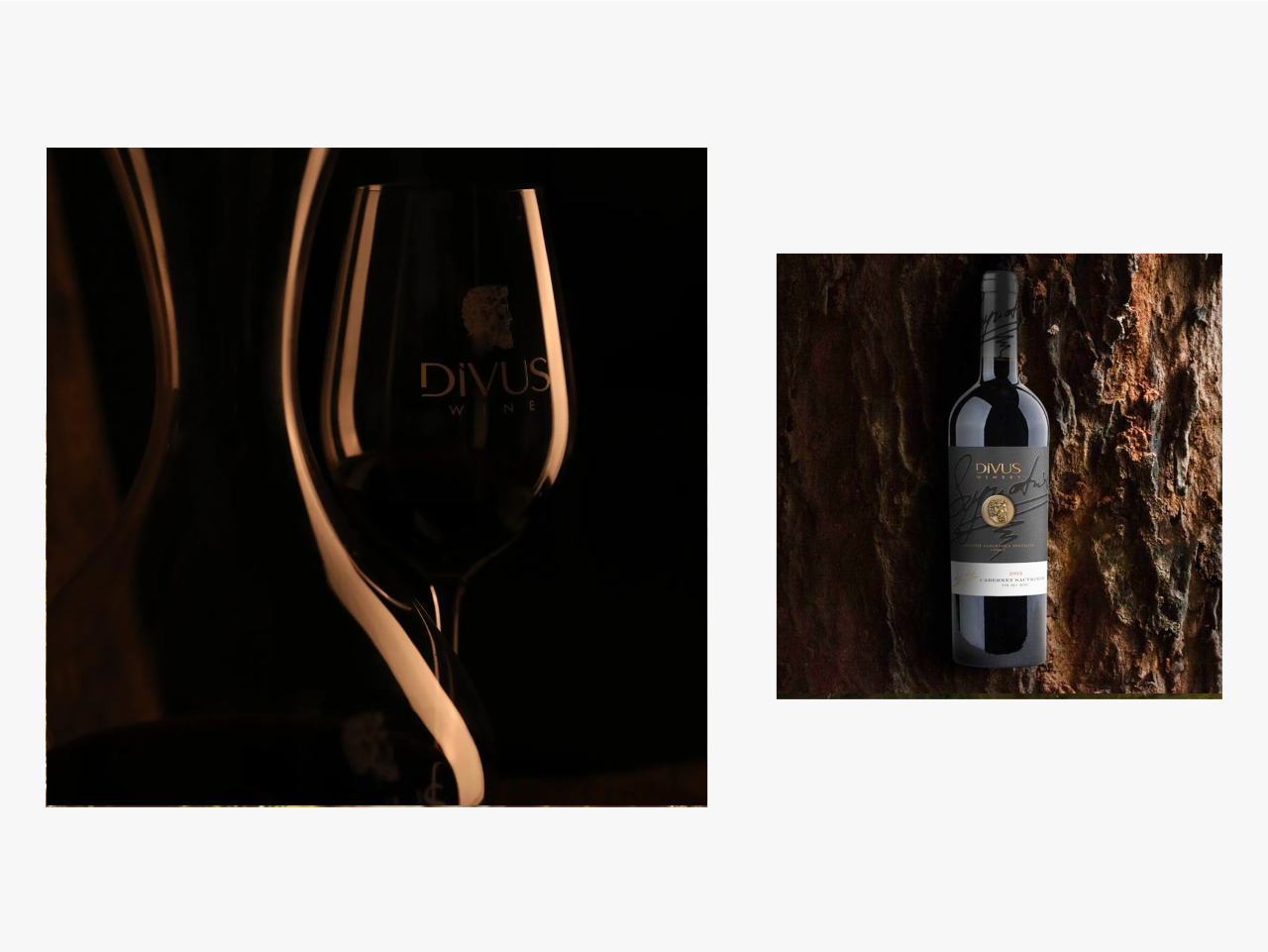 Prima imagine in care este reprezentată un pahar cu vin și un decantor și în a doua imagine o sticla de vin Cabernet Sauvignon pe o bucată de lemn
