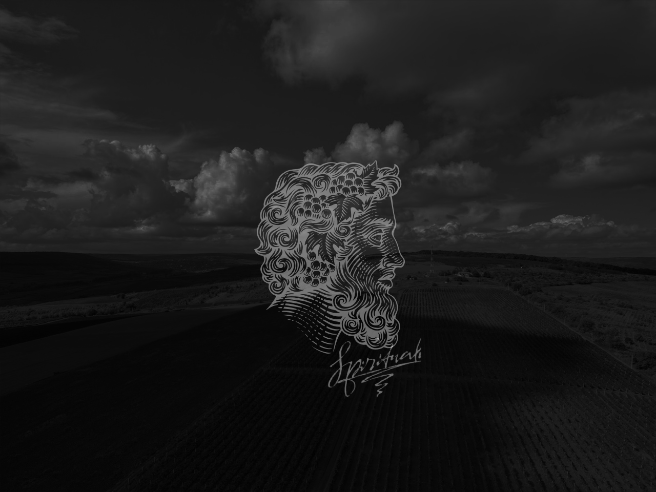 Dealuri împădurite, decorate cu vii luxuriante, cu logo-ul iconic al Divus Vinarie poziționat grațios în mijlocul peisajului verde, însoțit de o semnătură plină de gust.